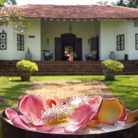 Templeberg Bed & Breakfast Walahanduwa Exterior foto
