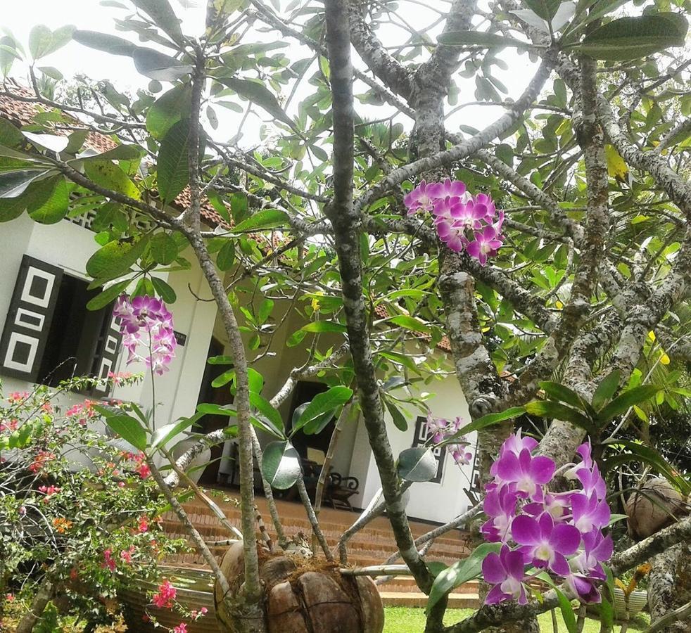 Templeberg Bed & Breakfast Walahanduwa Exterior foto