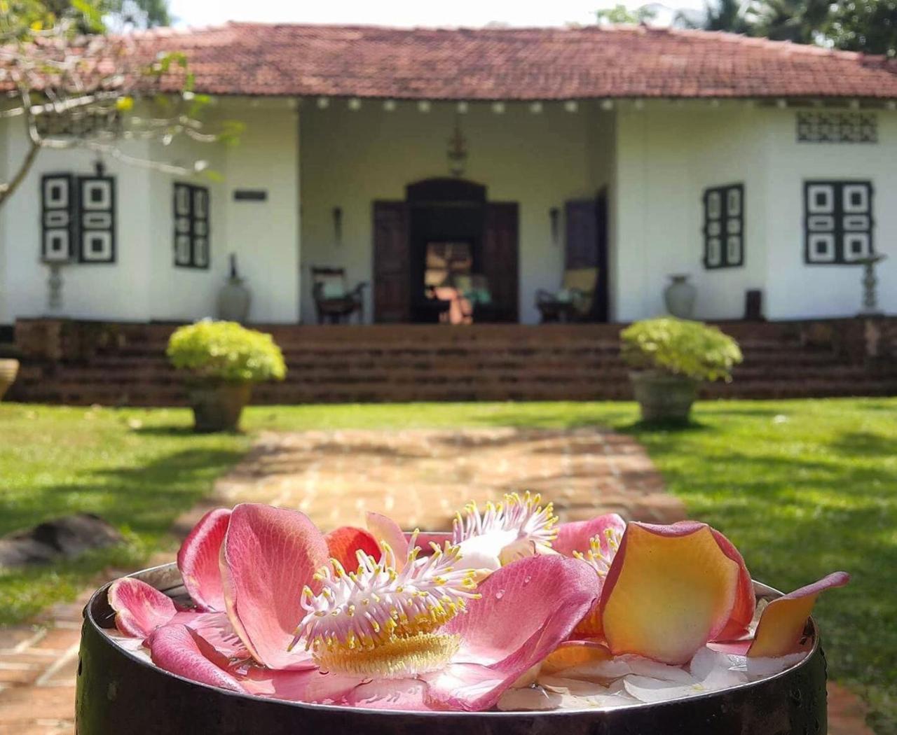 Templeberg Bed & Breakfast Walahanduwa Exterior foto