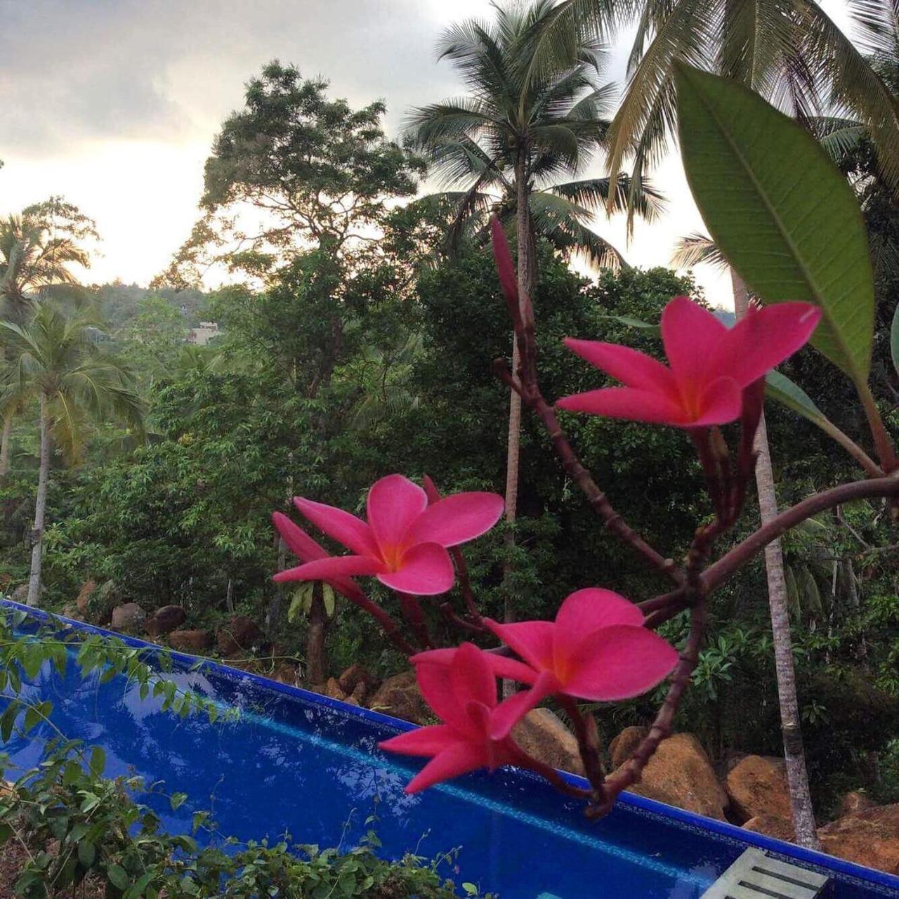 Templeberg Bed & Breakfast Walahanduwa Exterior foto